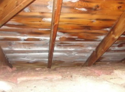 , Is My Roof Leaking, Or Is This Condensation?