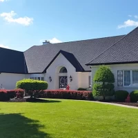 Asphalt Shingles, Asphalt