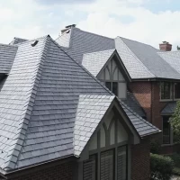 , Synthetic-Davinci-Detail-NEW-a