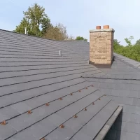 , Synthetic-Davinci-Detail-NEW-a