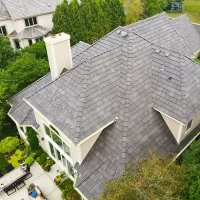 , Synthetic-Davinci-Detail-NEW-a