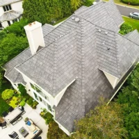 , Synthetic-Davinci-Detail-NEW-a