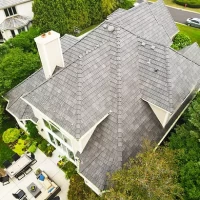 , Synthetic-Davinci-Detail-NEW-a