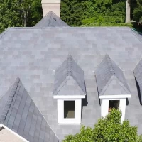 , Synthetic-Davinci-Detail-NEW-a