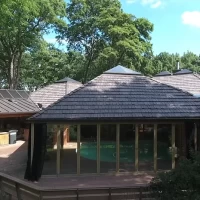 , Synthetic-Davinci-Detail-NEW-a