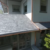 , Synthetic-Davinci-Detail-NEW-a