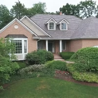 , Synthetic-Davinci-Detail-NEW-a