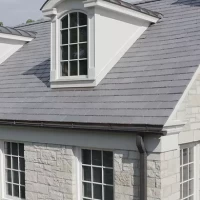 , Synthetic-Davinci-Detail-NEW-a