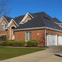 , Synthetic-Euroshield-Detail-NEW