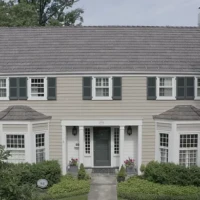 , Synthetic-Davinci-Detail-NEW-a