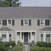 , Synthetic-Davinci-Detail-NEW-a