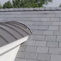 , Synthetic-Davinci-Detail-NEW-a