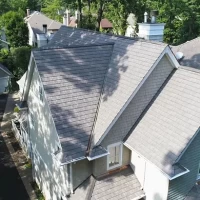 , Synthetic-Euroshield-Detail-NEW