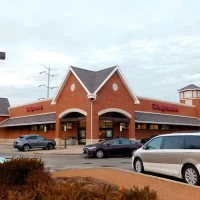 , Synthetic-Davinci-Detail-NEW-a