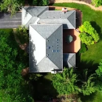 , Synthetic-Davinci-Detail-NEW-a