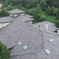 , Synthetic-Davinci-Detail-NEW-a