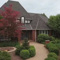 Asphalt Shingles, Asphalt