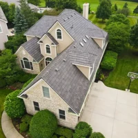 , Synthetic-Davinci-Detail-NEW-a