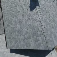 , Synthetic-Davinci-Detail-NEW-a