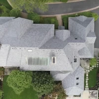 , Synthetic-Davinci-Detail-NEW-a