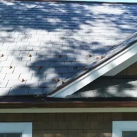 , Synthetic-Davinci-Detail-NEW-a