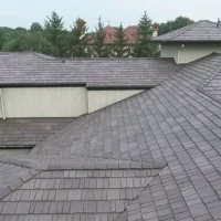 , Synthetic-Davinci-Detail-NEW-a