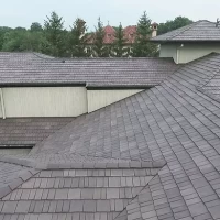 , Synthetic-Davinci-Detail-NEW-a