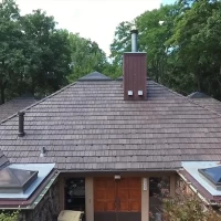 , Synthetic-Davinci-Detail-NEW-a