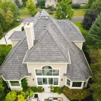 , Synthetic-Davinci-Detail-NEW-a