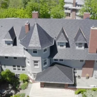 , Synthetic-Euroshield-Detail-NEW