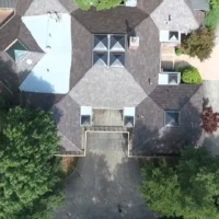 , Synthetic-Davinci-Detail-NEW-a