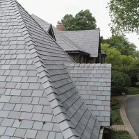 , Synthetic-Davinci-Detail-NEW-a