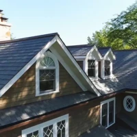 , Synthetic-Davinci-Detail-NEW-a