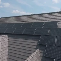 , Synthetic-Davinci-Detail-NEW-a