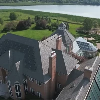 , Synthetic-Davinci-Detail-NEW-a