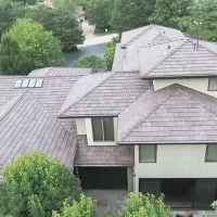 , Synthetic-Davinci-Detail-NEW-a