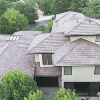 , Synthetic-Davinci-Detail-NEW-a