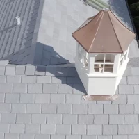 , Synthetic-Davinci-Detail-NEW-a