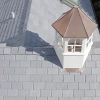 , Synthetic-Davinci-Detail-NEW-a