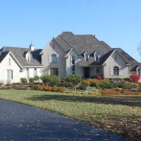 , Synthetic-Davinci-Detail-NEW-a