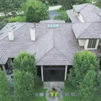 , Synthetic-Davinci-Detail-NEW-a