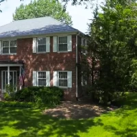 , Synthetic-Davinci-Detail-NEW-a