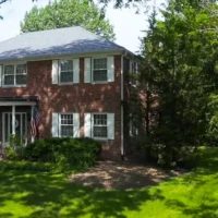 , Synthetic-Davinci-Detail-NEW-a