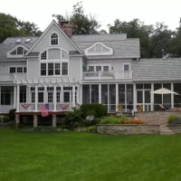 , Synthetic-Davinci-Detail-NEW-a