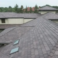 , Synthetic-Davinci-Detail-NEW-a