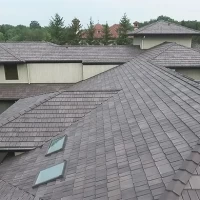 , Synthetic-Davinci-Detail-NEW-a