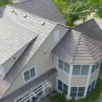 , Synthetic-Davinci-Detail-NEW-a