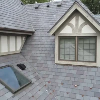 , Synthetic-Davinci-Detail-NEW-a