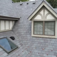 , Synthetic-Davinci-Detail-NEW-a