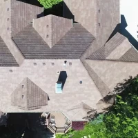 , Synthetic-Davinci-Detail-NEW-a